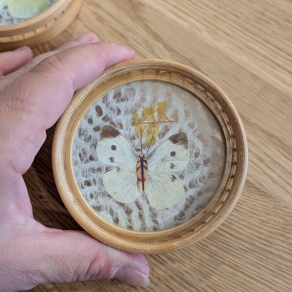 Decorative Butterfly Coasters - Picture 2 of 7